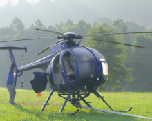 helicopter tree trimming services