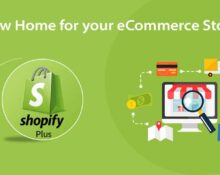 Shopify developer