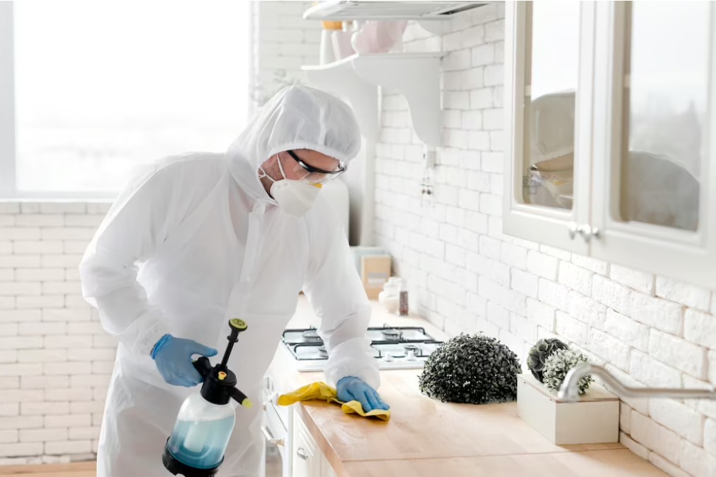 mold remediation services greenville 