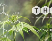 Best THCA Flower