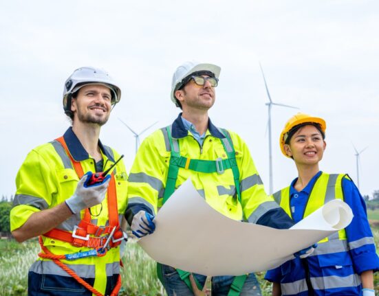 EHS consulting services