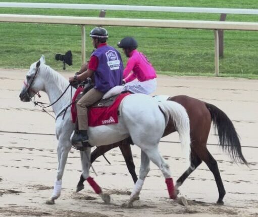jockey racing silks
