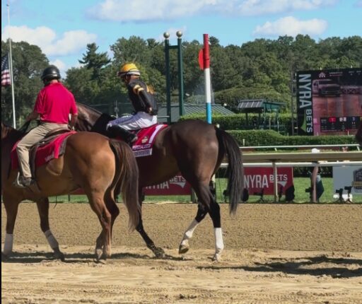jockey racing silks